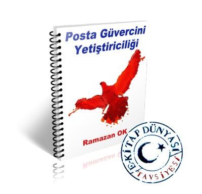 posta güvercini nasıl eğitilir
